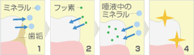 フッ素でお子さまの歯を守りましょう