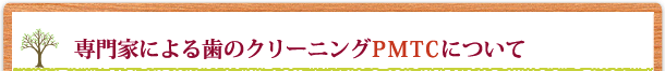 専門家による歯のクリーニングPMTCについて